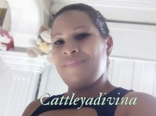 Cattleyadivina