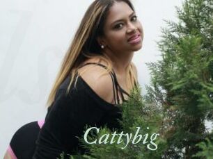Cattybig