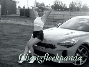 Changfleekpanda