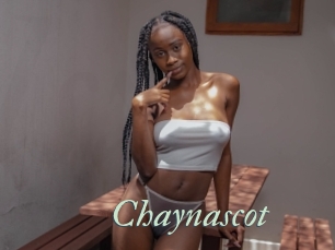 Chaynascot