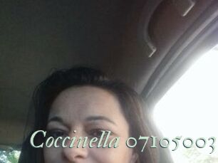 Coccinella-07105003