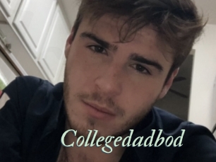 Collegedadbod
