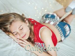 Collegedove