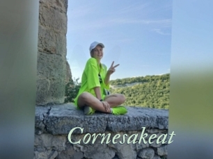 Cornesakeat