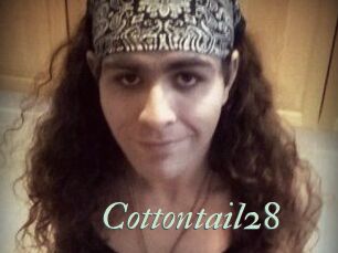 Cottontail28
