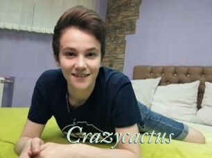 Crazycactus