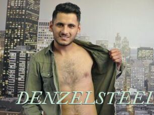 DENZELSTEEL