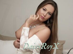 DaisyRoyX