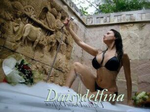 Daisydelfina