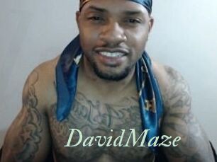 David_Maze