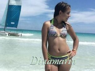 Dinamarin