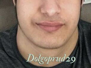 Dolgoprud29