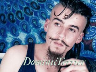 DominicTerrier