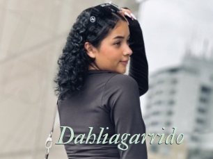 Dahliagarrido