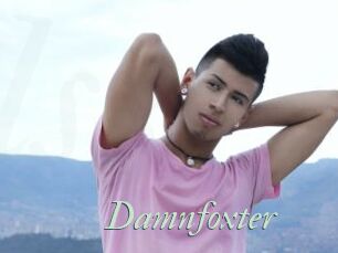 Damnfoxter