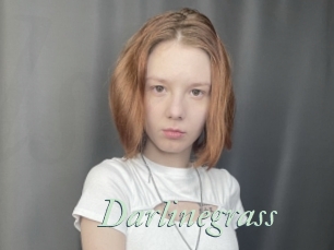 Darlinegrass