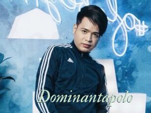 Dominantapolo