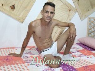 Dylan_north