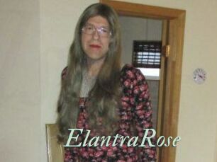 Elantra_Rose