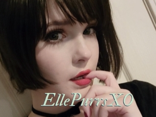 EllePurrsXO