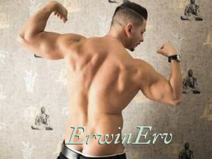 ErwinErv