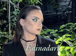 Edinadark