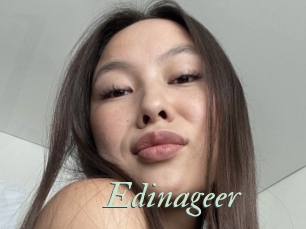 Edinageer