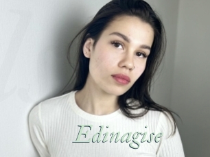 Edinagise