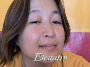 Elenatin