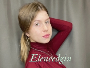 Eleneedgin
