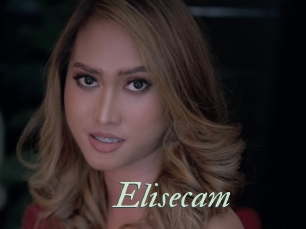 Elisecam