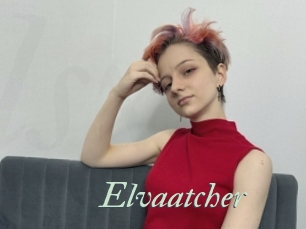 Elvaatcher