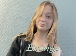 Elvabigge