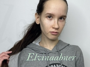 Elvinaabner