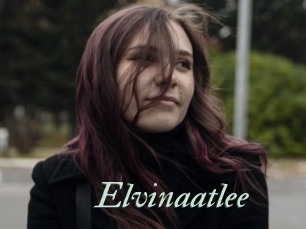Elvinaatlee