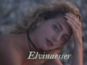 Elvinaesser