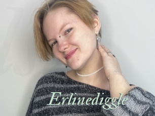 Erlinediggle