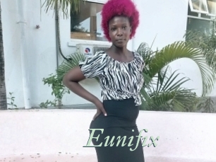 Eunifix