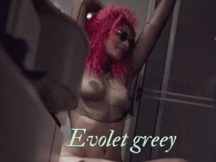 Evolet_greey