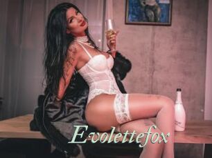 Evolettefox