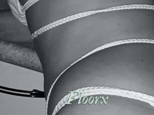 Floorx