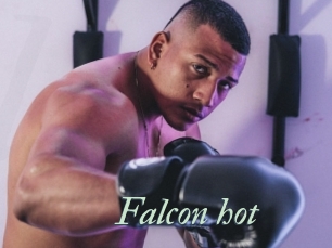 Falcon_hot