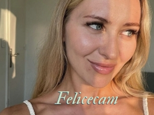 Felicecam