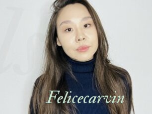 Felicecarvin