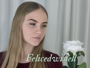 Felicedwinell