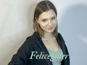Felicegaler