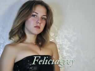 Feliciagrey