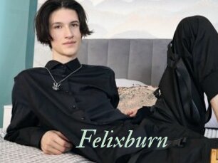 Felixburn