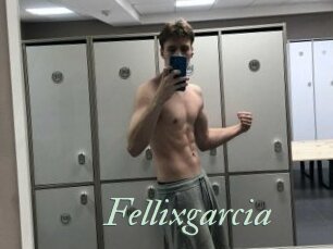Fellixgarcia
