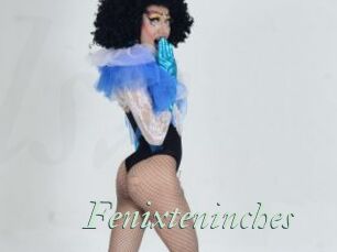 Fenixteninches
